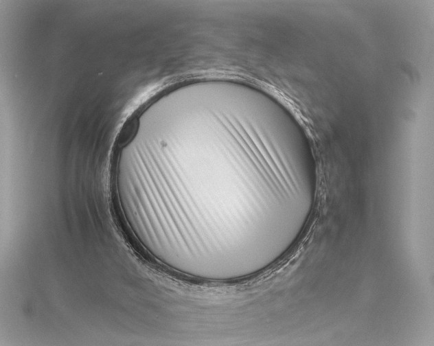 X0000115640008200912011511