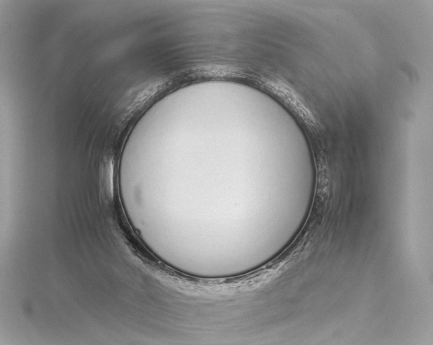 X0000115640014200912011511
