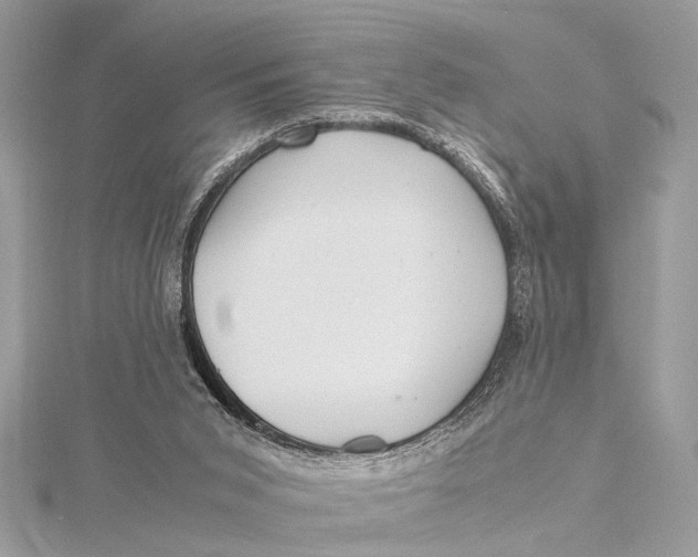 X0000115640015200912011511