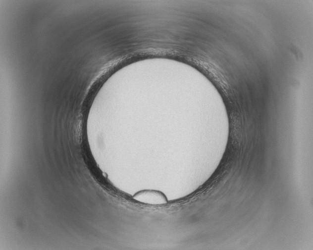 X0000115640016200912011511
