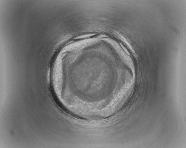X0000115640019200912011511