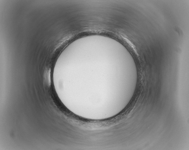 X0000115640020200912011511