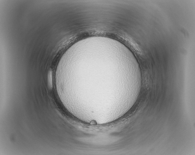 X0000115640022200912011511