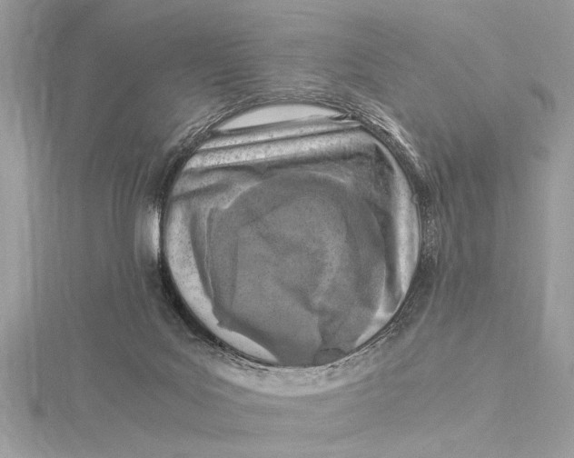 X0000115640027200912011511