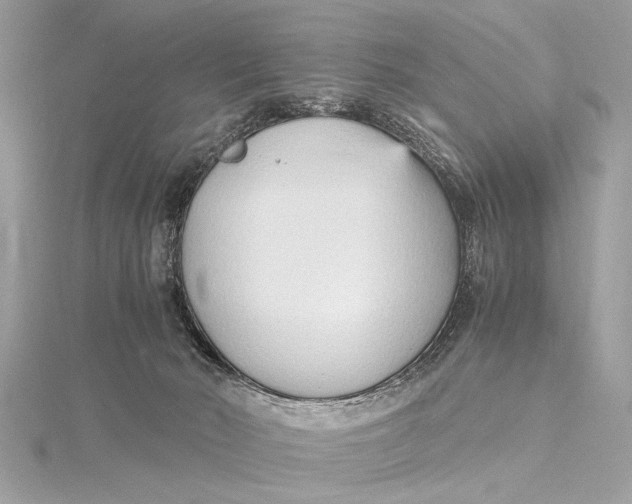 X0000115640030200912011511