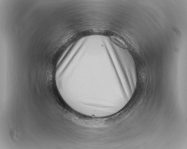 X0000115640032200912011511