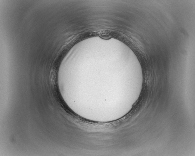X0000115640036200912011510
