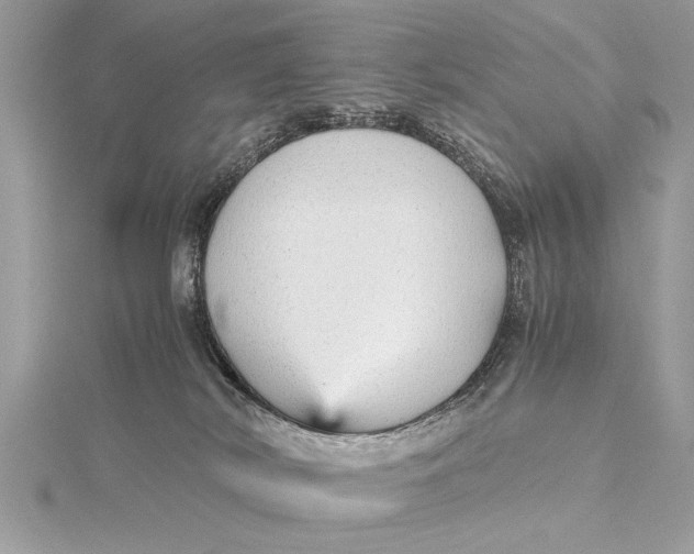 X0000115640038200912011510