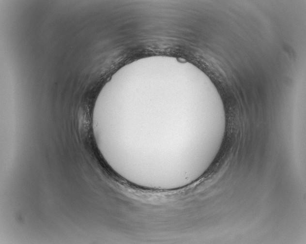 X0000115640040200912011510