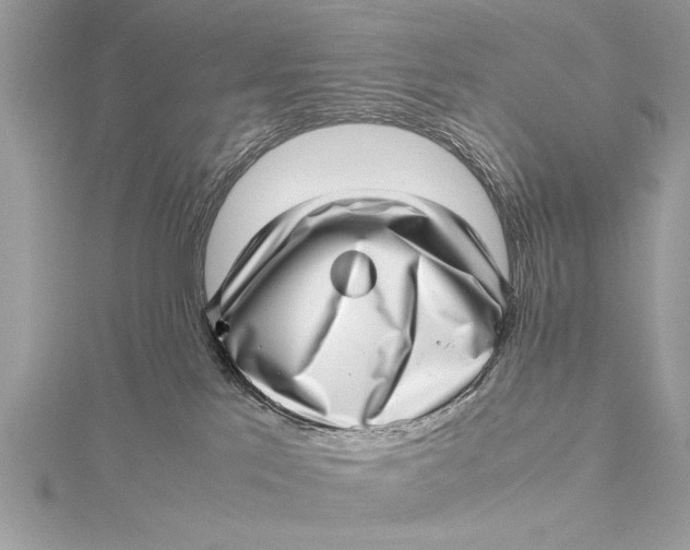 X0000115640041200912011510