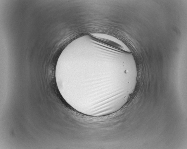 X0000115640043200912011510