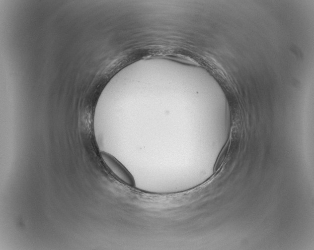 X0000115640045200912011510