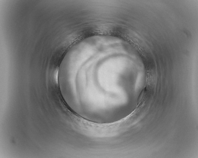 X0000115640047200912011510