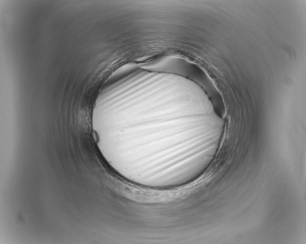 X0000115640048200912011510