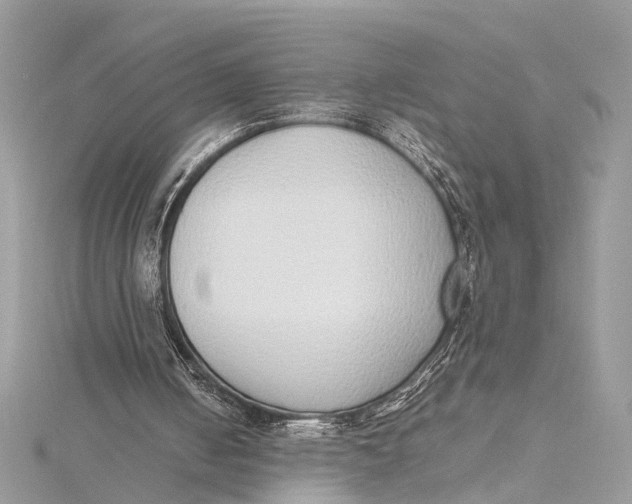 X0000115640050200912011510