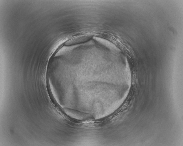 X0000115640052200912011510