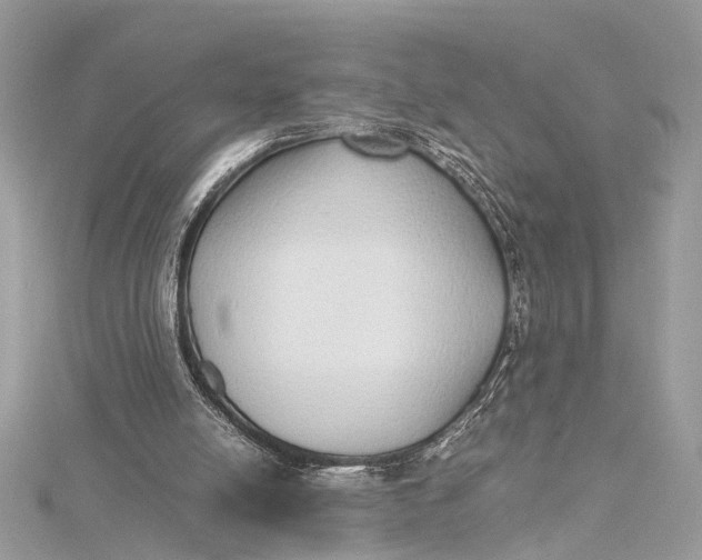 X0000115640054200912011510