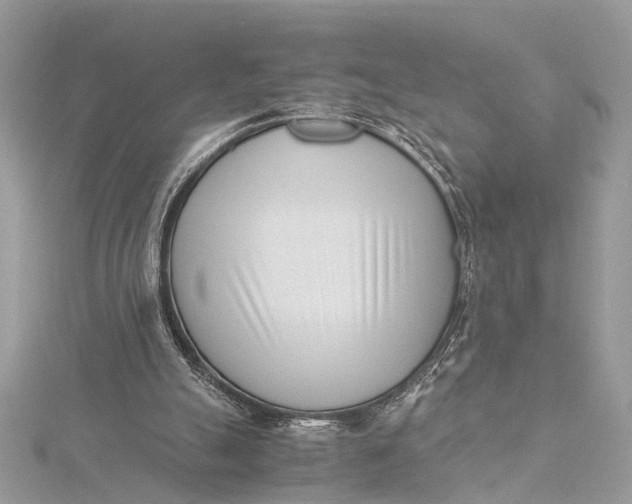 X0000115640055200912011510