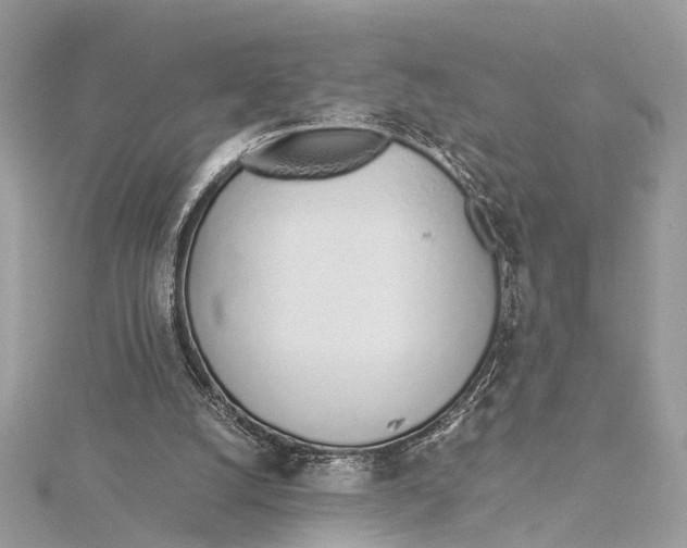 X0000115640056200912011510