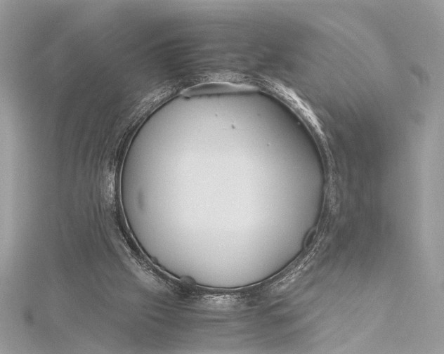 X0000115640057200912011510