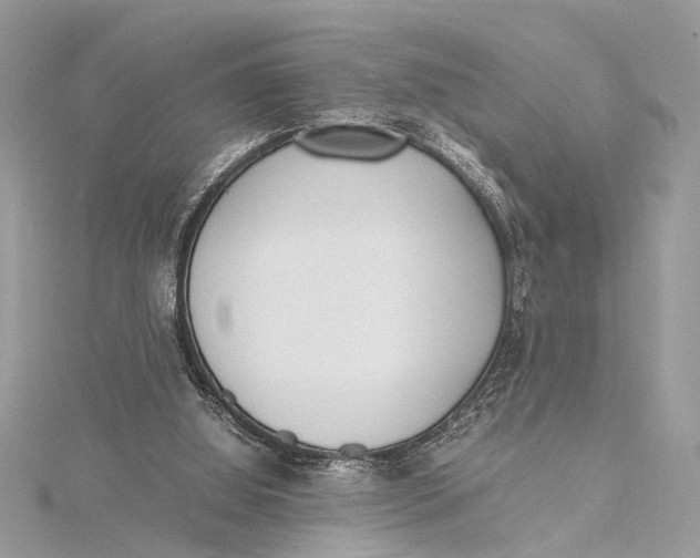 X0000115640060200912011510