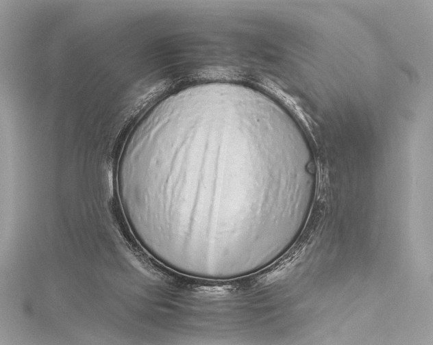 X0000115640061200912011510