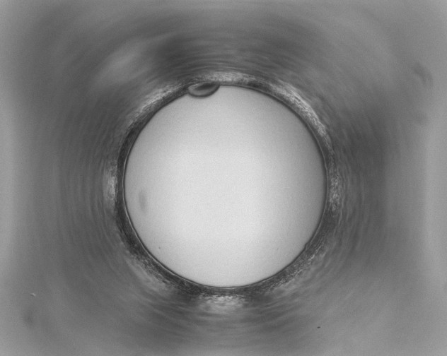 X0000115640063200912011510