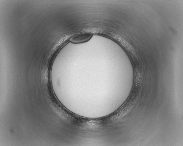 X0000115640064200912011510