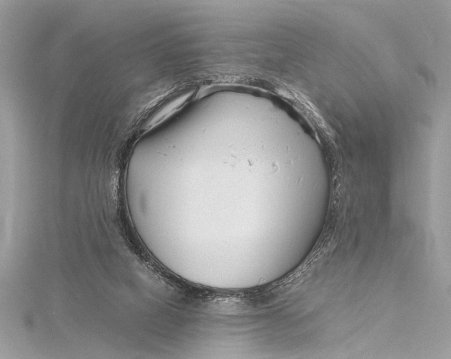 X0000115640066200912011510