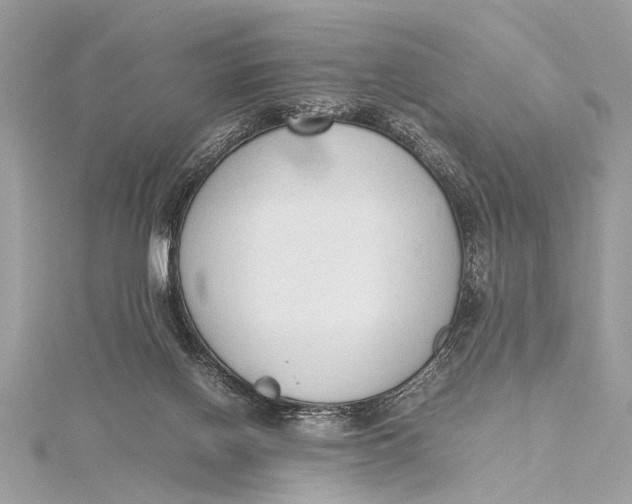 X0000115640070200912011510
