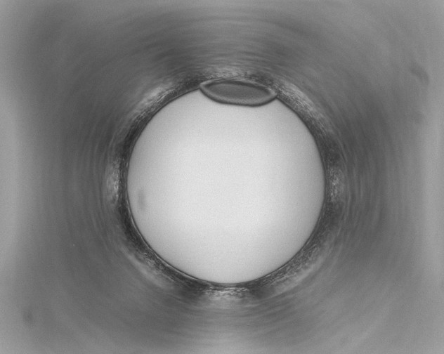 X0000115640072200912011510