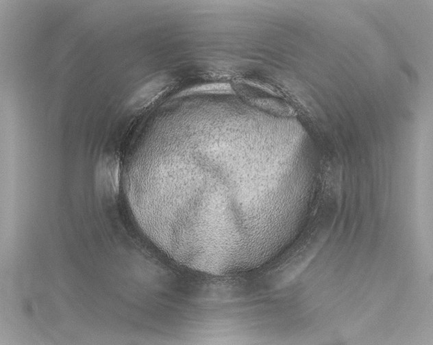 X0000115640076200912011510