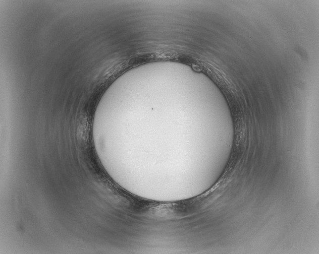 X0000115640078200912011510