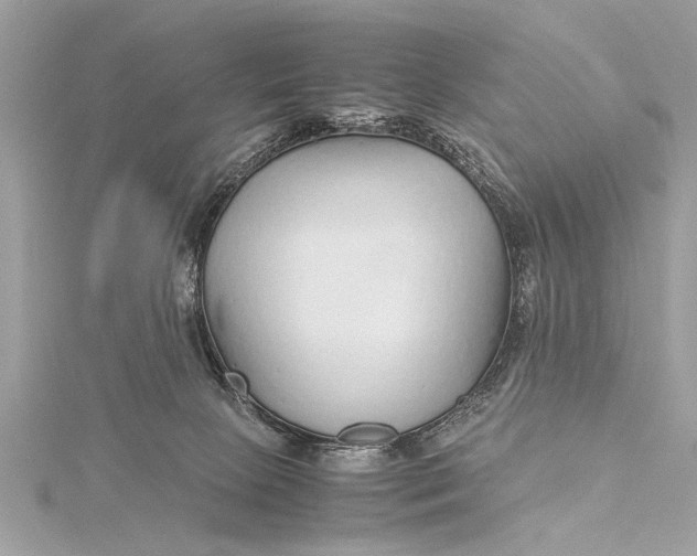 X0000115640081200912011510
