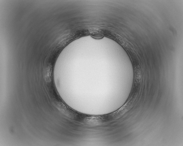 X0000115640082200912011510