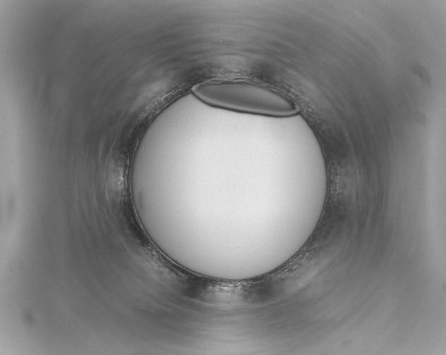 X0000115640084200912011510