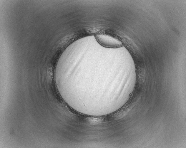 X0000115640085200912011510