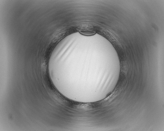 X0000115640086200912011510