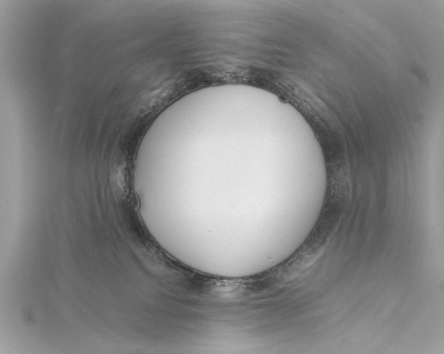 X0000115640088200912011510