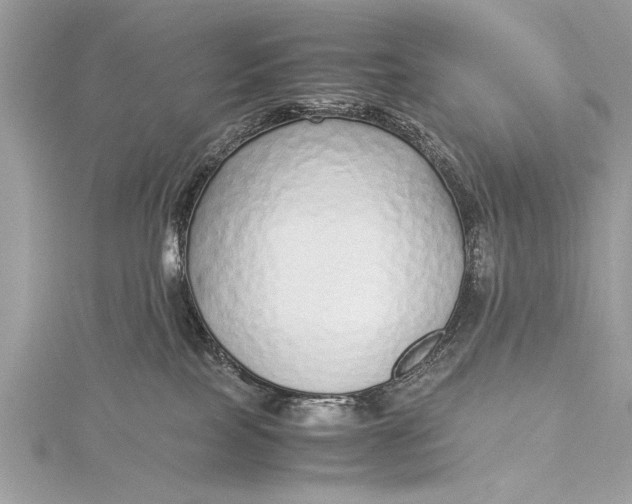 X0000115640089200912011510