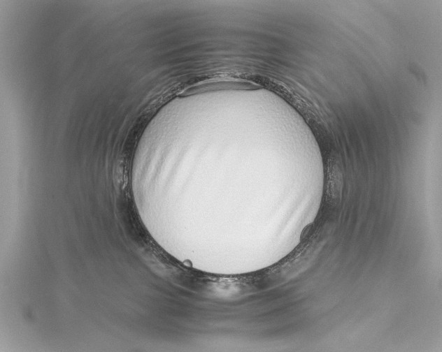 X0000115640091200912011510