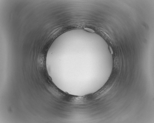 X0000115640092200912011510
