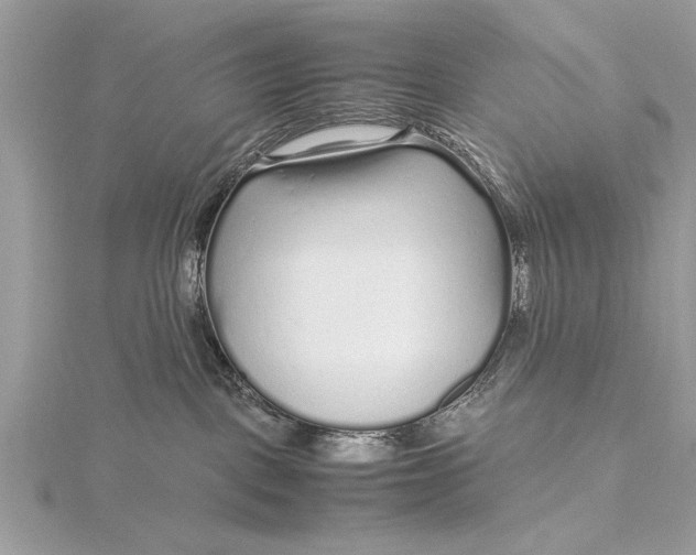 X0000115640093200912011510