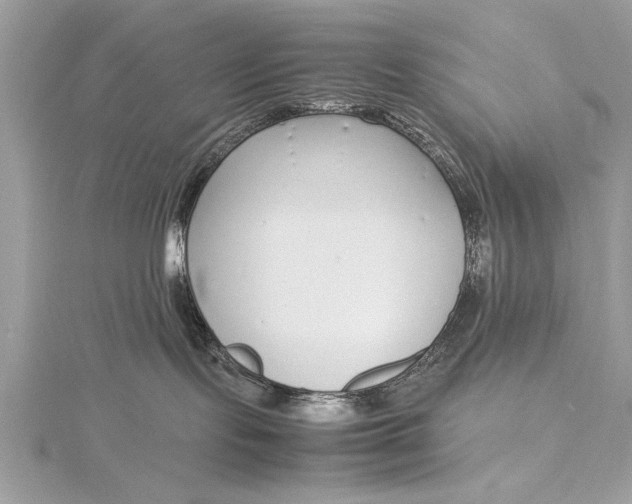 X0000115640095200912011510