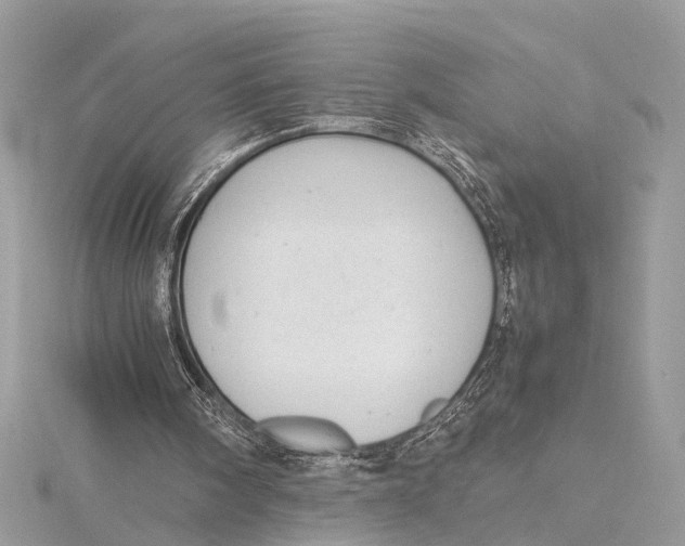 X0000115640098200912011510