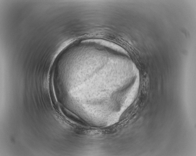 X0000115640100200912011510