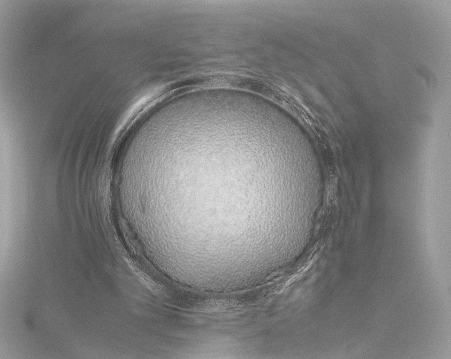 X0000115640101200912011510