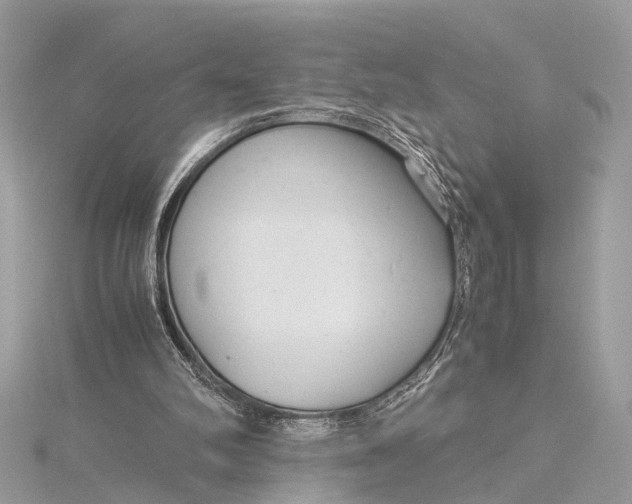 X0000115640102200912011510