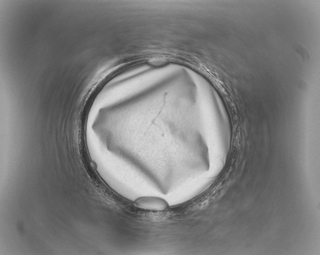 X0000115640103200912011510