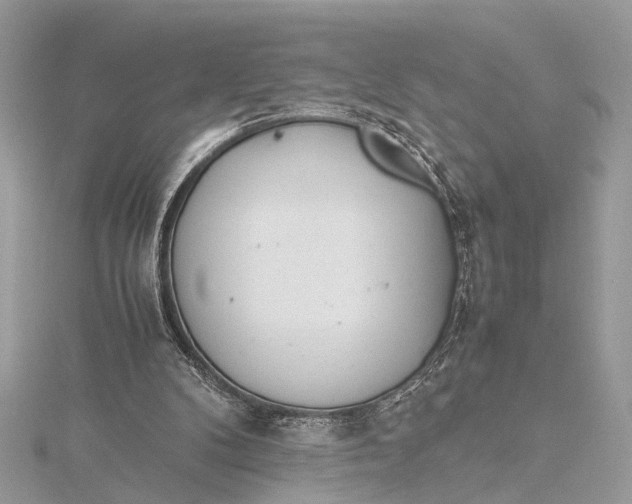 X0000115640104200912011510